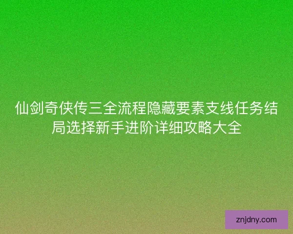 仙剑奇侠传三全流程隐藏要素支线任务结局选择新手进阶详细攻略大全