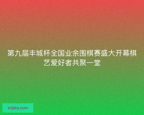 第九届丰城杯全国业余围棋赛盛大开幕棋艺爱好者共聚一堂