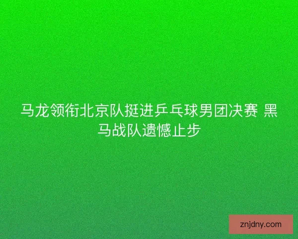 马龙领衔北京队挺进乒乓球男团决赛 黑马战队遗憾止步