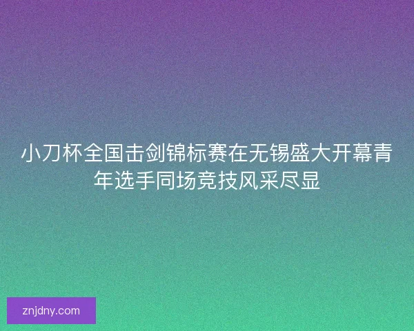 小刀杯全国击剑锦标赛在无锡盛大开幕青年选手同场竞技风采尽显
