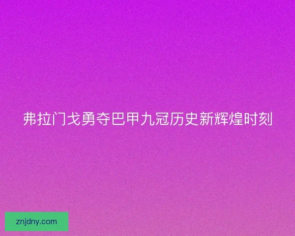 弗拉门戈勇夺巴甲九冠历史新辉煌时刻