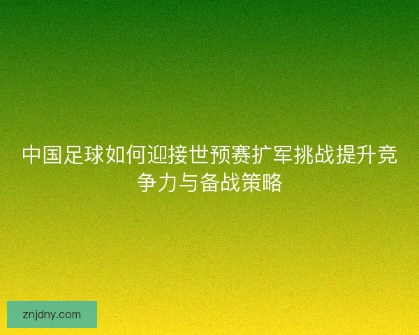 中国足球如何迎接世预赛扩军挑战提升竞争力与备战策略